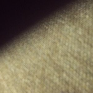 Meet your Posher, Caleen